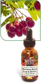 Hawthorn Berry Liquid Extract